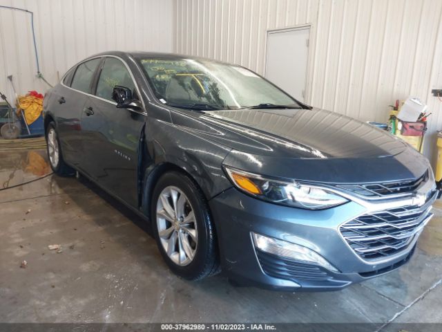 CHEVROLET MALIBU 2019 1g1zd5st0kf141353