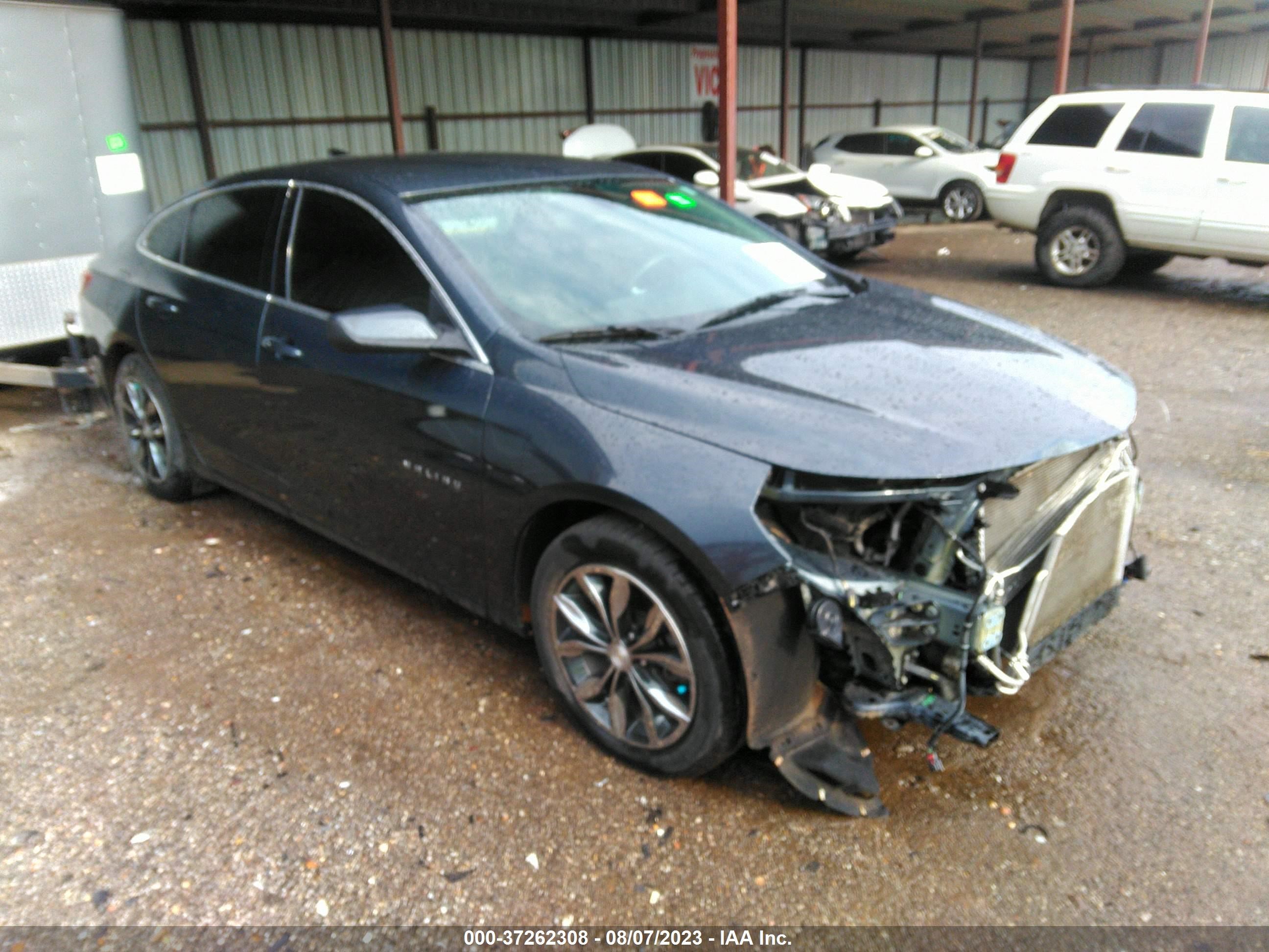 CHEVROLET MALIBU 2019 1g1zd5st0kf148173