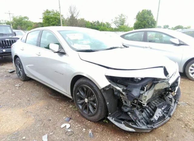 CHEVROLET MALIBU 2019 1g1zd5st0kf161716