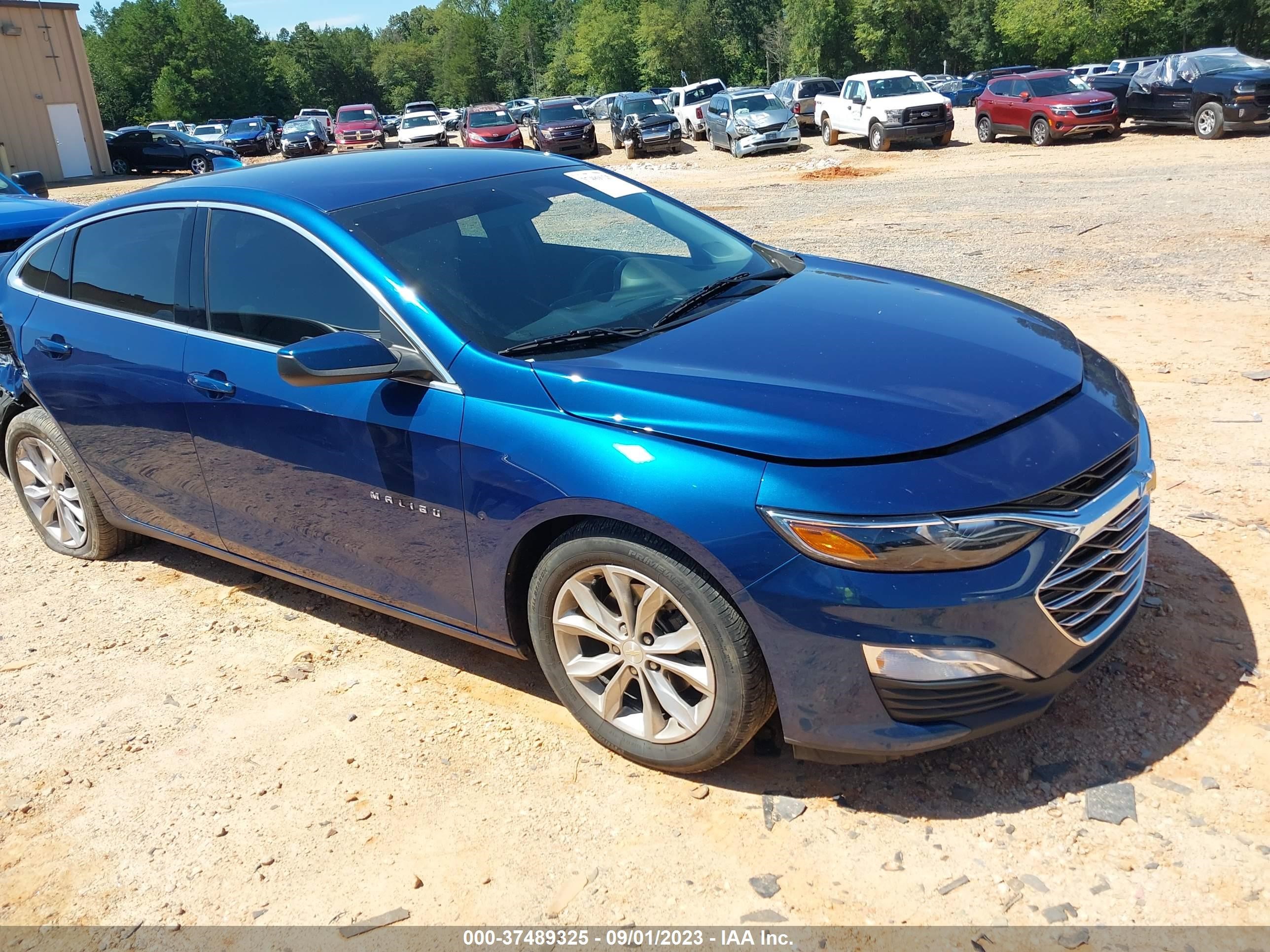 CHEVROLET MALIBU 2019 1g1zd5st0kf179861