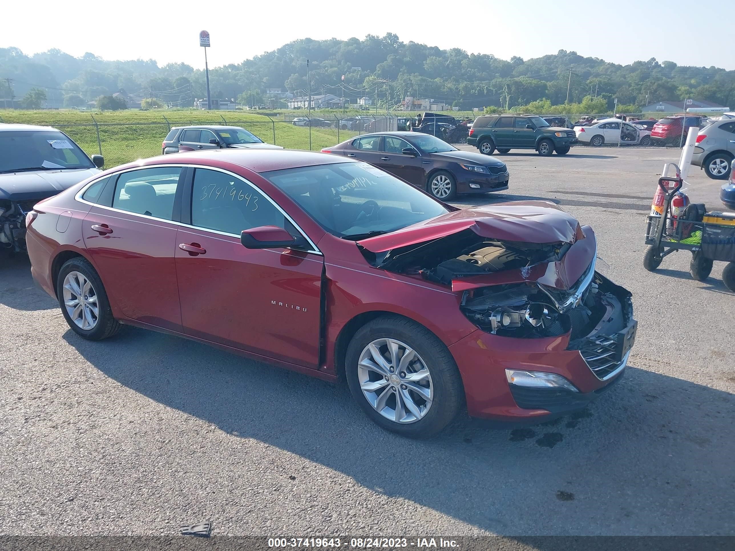 CHEVROLET MALIBU 2019 1g1zd5st0kf190276