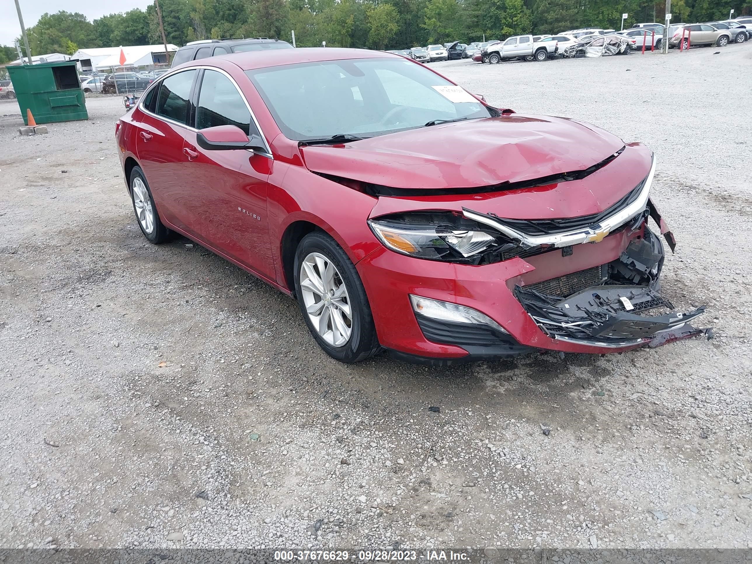 CHEVROLET MALIBU 2019 1g1zd5st0kf227617