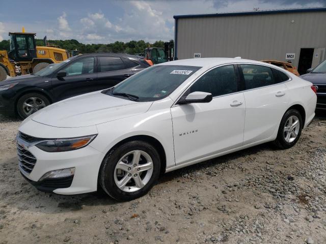 CHEVROLET MALIBU 2024 1g1zd5st0rf139385