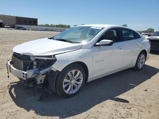 CHEVROLET MALIBU LT 2019 1g1zd5st1kf108071