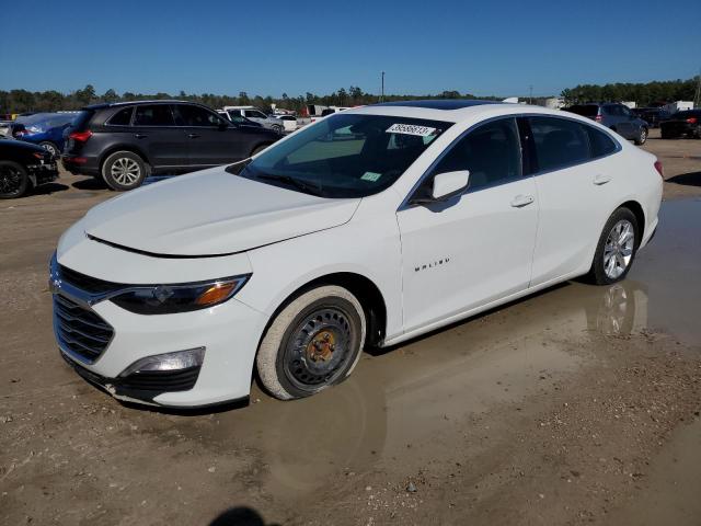 CHEVROLET MALIBU LT 2019 1g1zd5st1kf143645