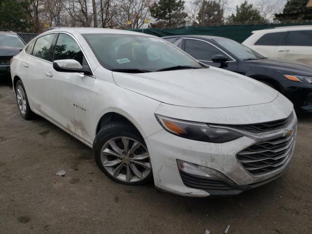 CHEVROLET MALIBU LT 2019 1g1zd5st1kf164446