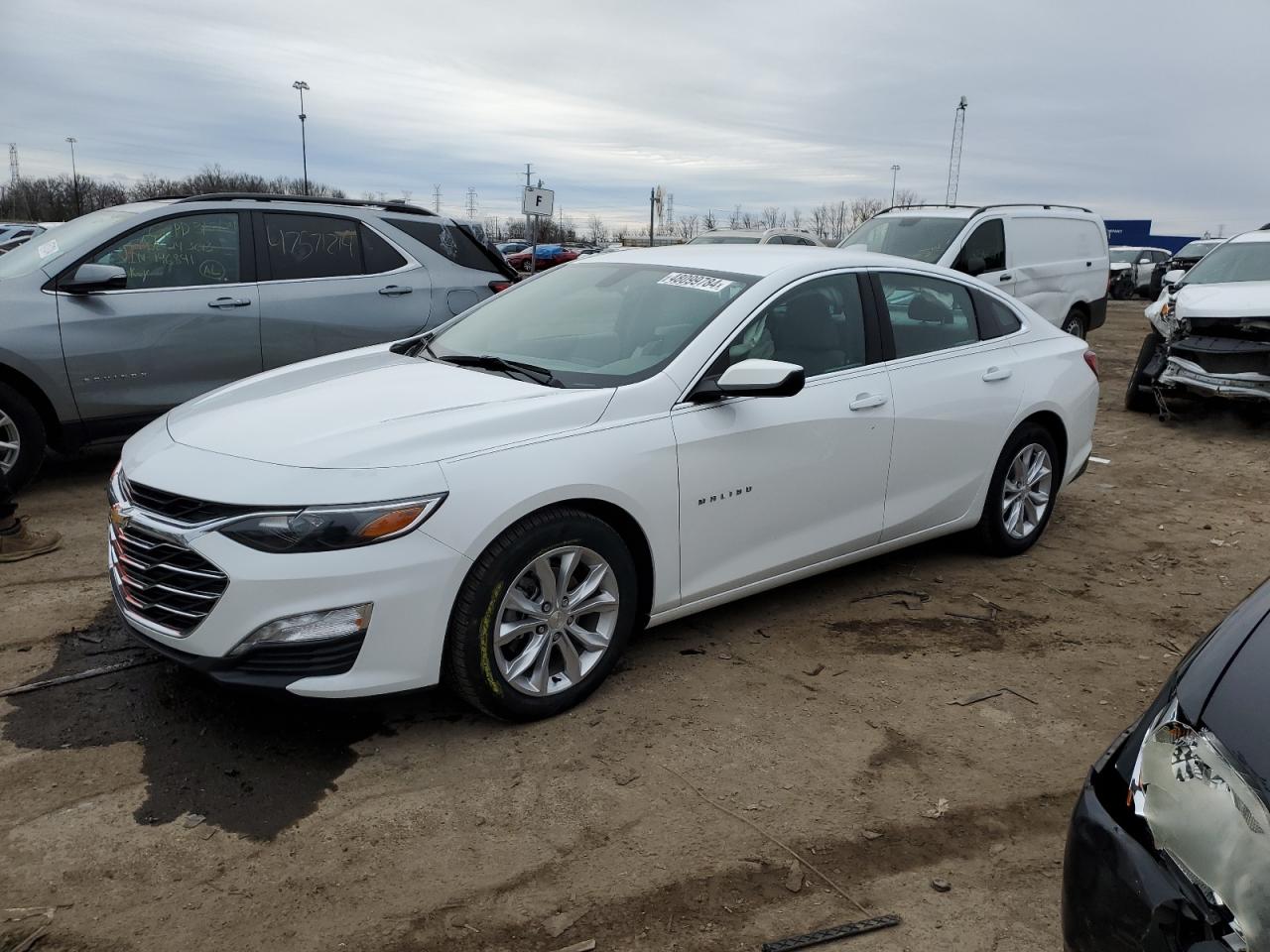 CHEVROLET MALIBU 2019 1g1zd5st1kf178556