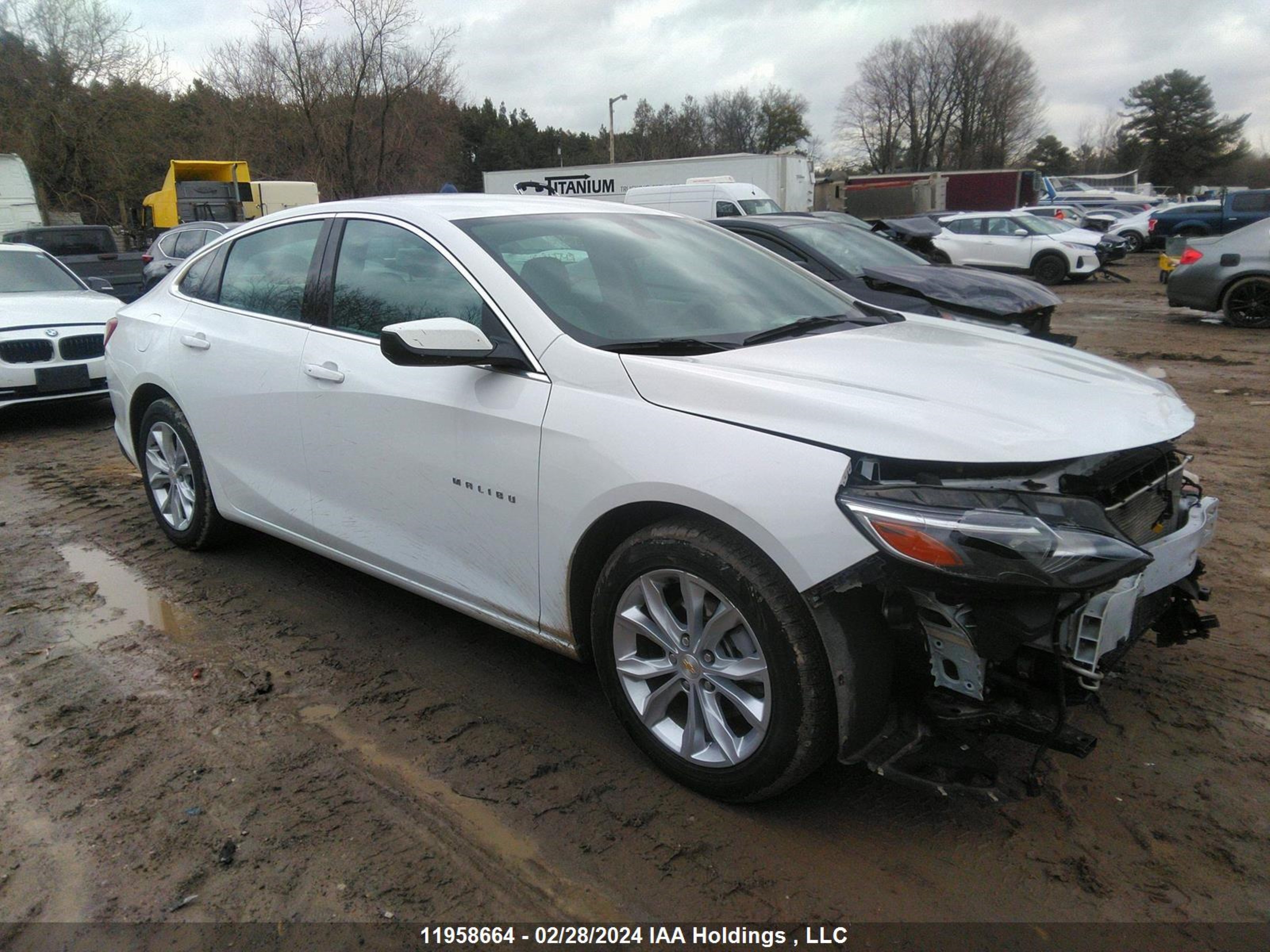 CHEVROLET MALIBU 2022 1g1zd5st1nf179422