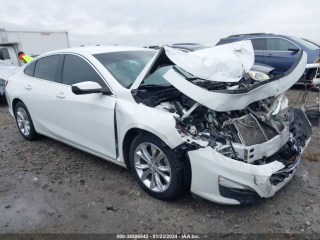 CHEVROLET MALIBU 2019 1g1zd5st2kf104949