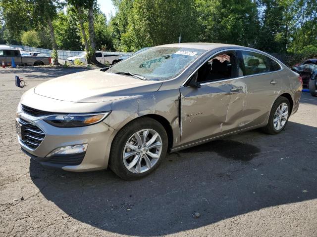 CHEVROLET MALIBU LT 2024 1g1zd5st2rf213664