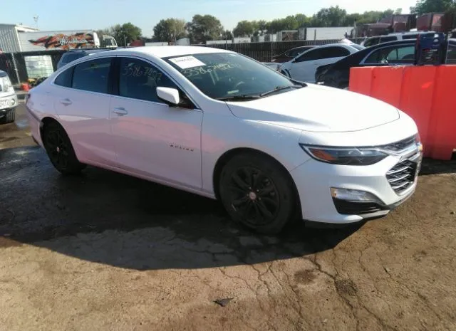 CHEVROLET MALIBU 2019 1g1zd5st3kf124370