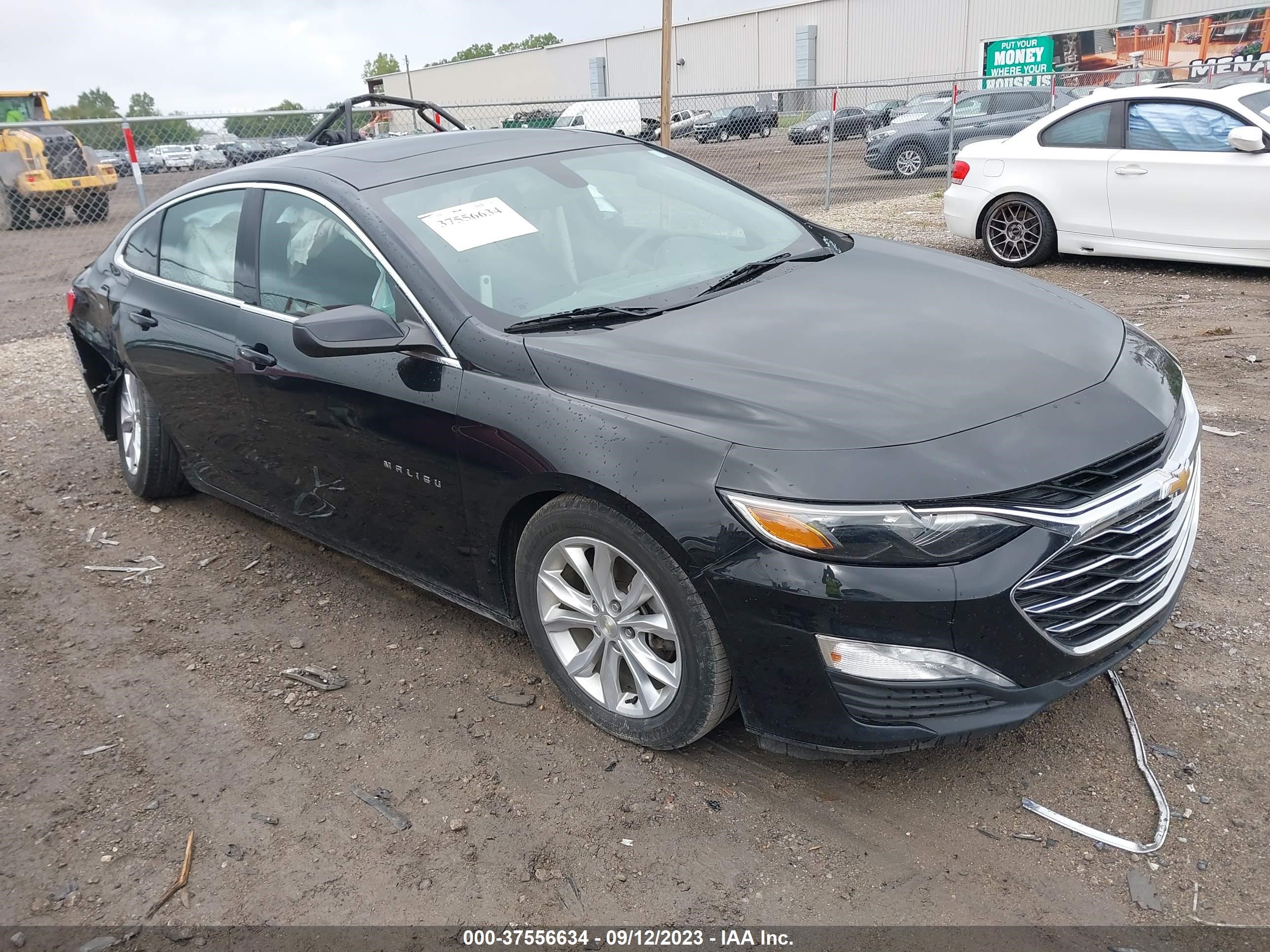 CHEVROLET MALIBU 2019 1g1zd5st3kf127981