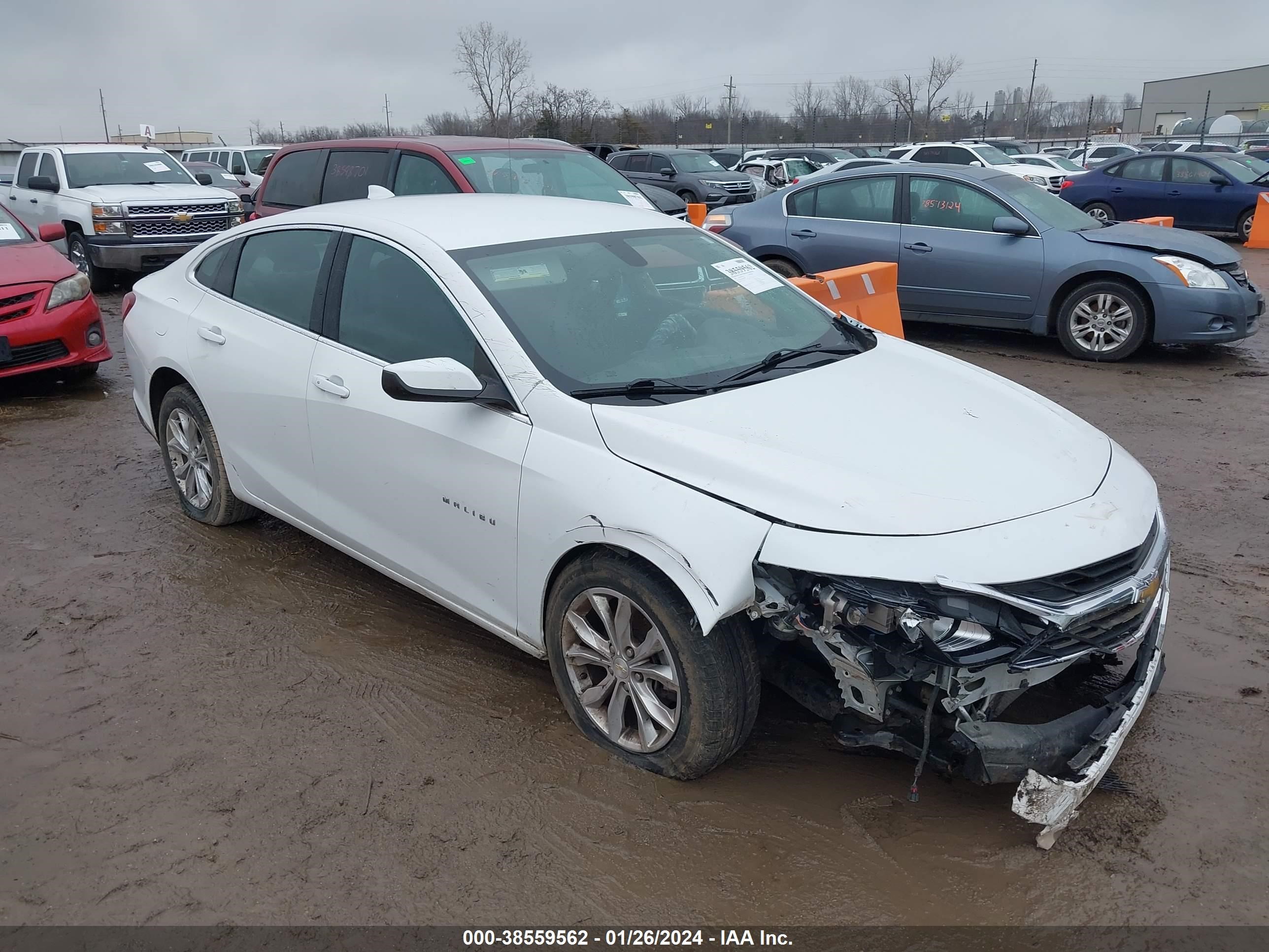 CHEVROLET MALIBU 2019 1g1zd5st3kf134185