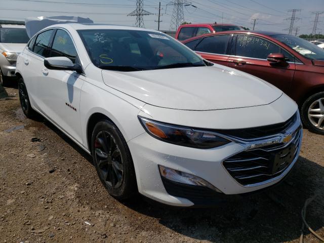 CHEVROLET MALIBU LT 2019 1g1zd5st3kf146370