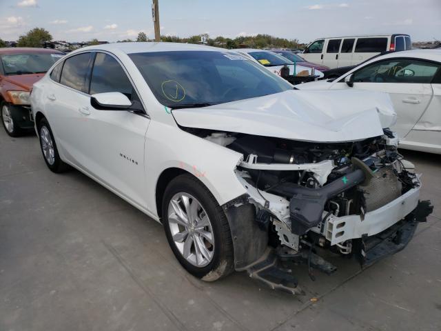 CHEVROLET MALIBU LT 2019 1g1zd5st3kf178087