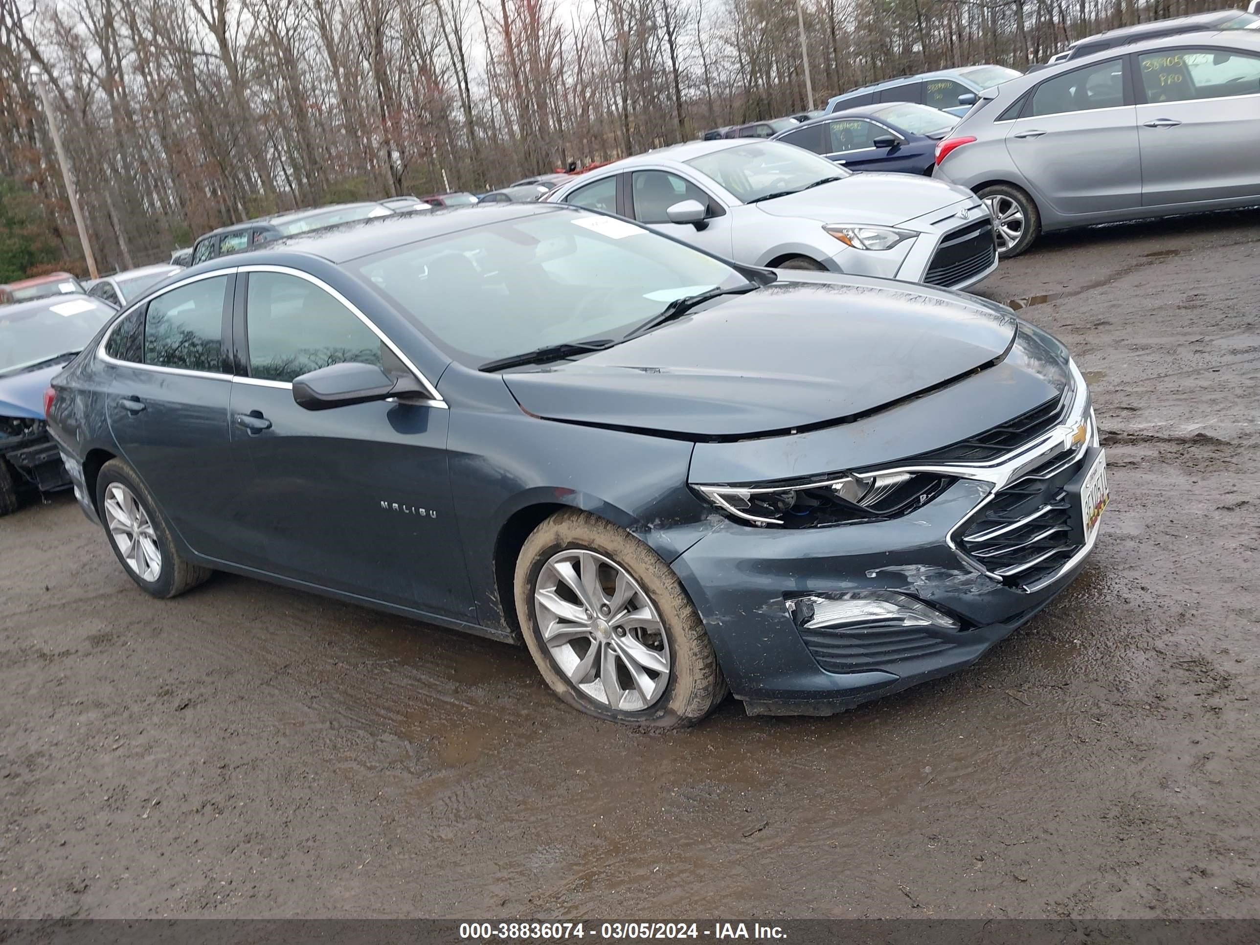 CHEVROLET MALIBU 2019 1g1zd5st4kf131554