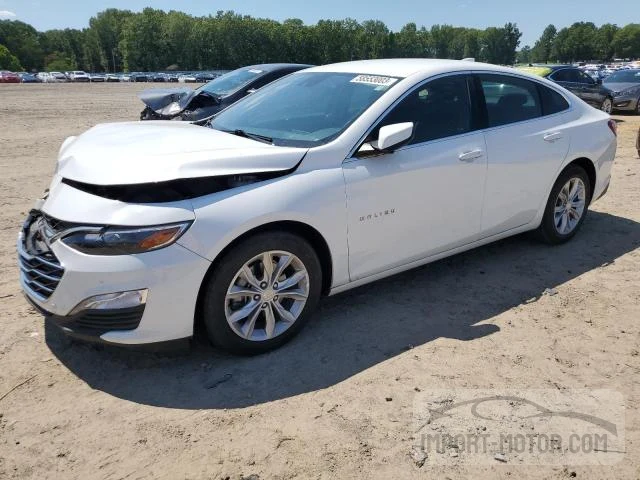 CHEVROLET MALIBU 2019 1g1zd5st4kf148161