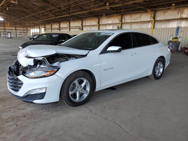 CHEVROLET MALIBU LT 2019 1g1zd5st4kf152601