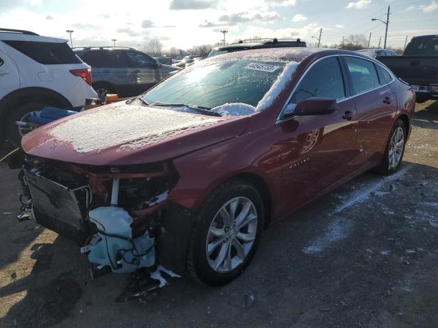 CHEVROLET MALIBU LT 2019 1g1zd5st4kf157605