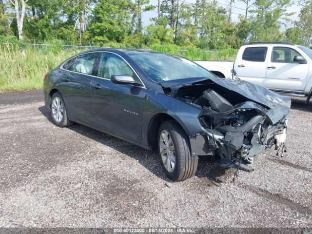 CHEVROLET MALIBU 2019 1g1zd5st4kf172394