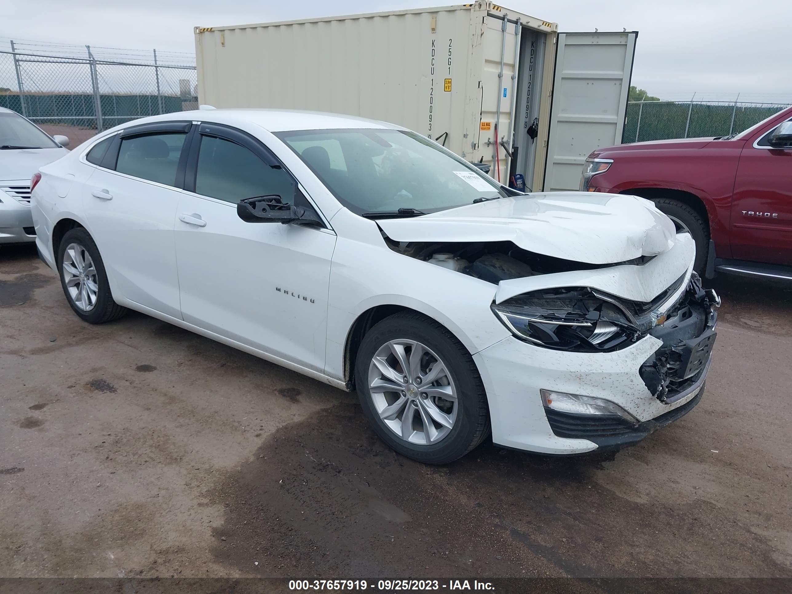 CHEVROLET MALIBU 2019 1g1zd5st4kf177319