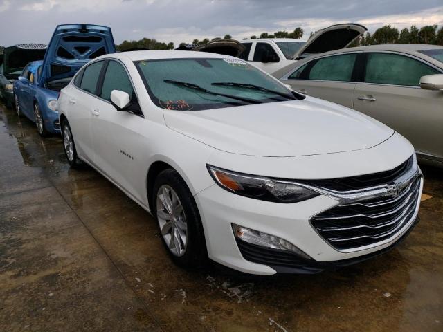 CHEVROLET MALIBU LT 2019 1g1zd5st5kf106484