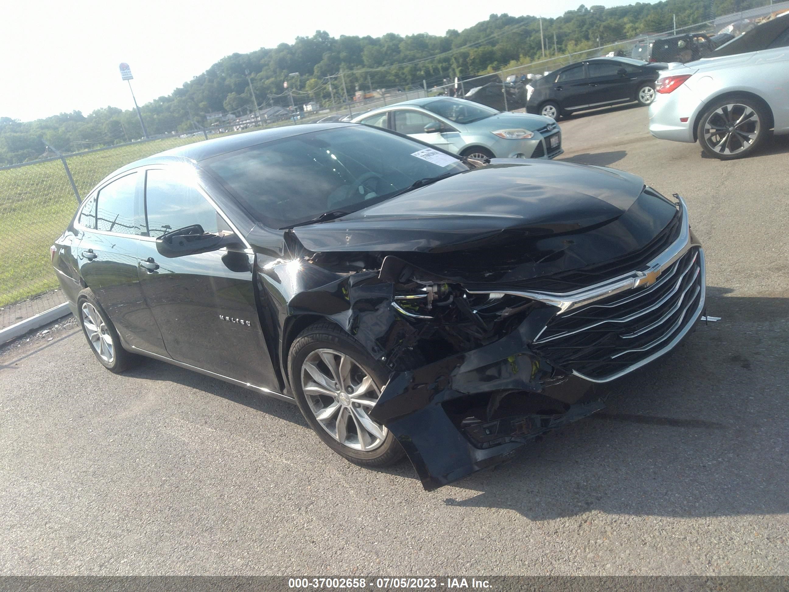 CHEVROLET MALIBU 2019 1g1zd5st5kf138593