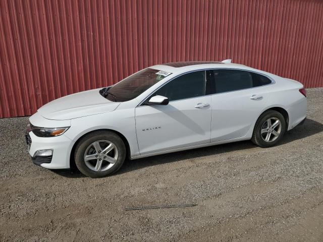 CHEVROLET MALIBU 2020 1g1zd5st5lf036986