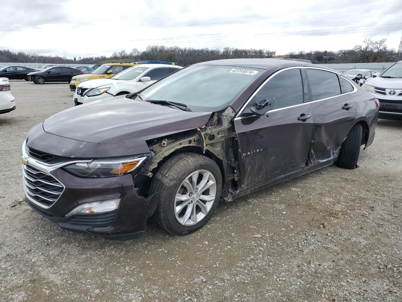 CHEVROLET MALIBU 2021 1g1zd5st5mf007912