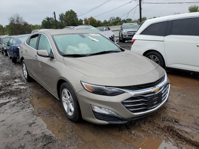 CHEVROLET MALIBU LT 2022 1g1zd5st5nf176314