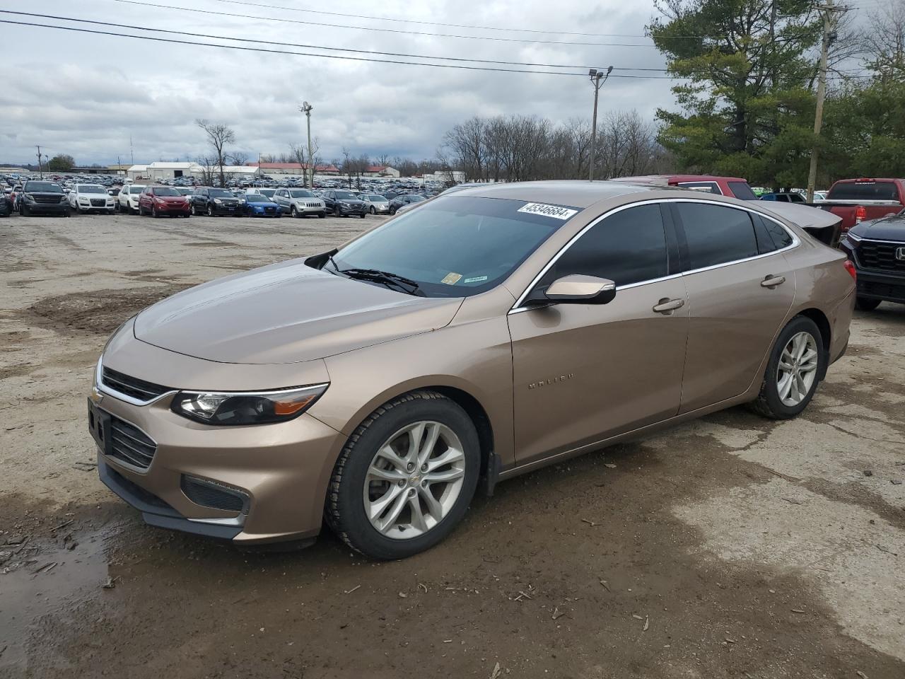 CHEVROLET MALIBU 2018 1g1zd5st6jf118772