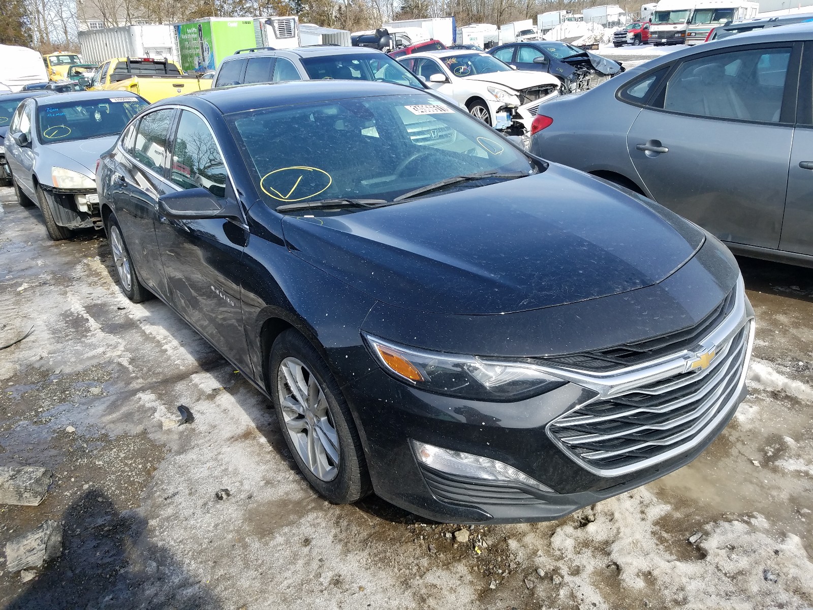 CHEVROLET MALIBU LT 2019 1g1zd5st6kf106509