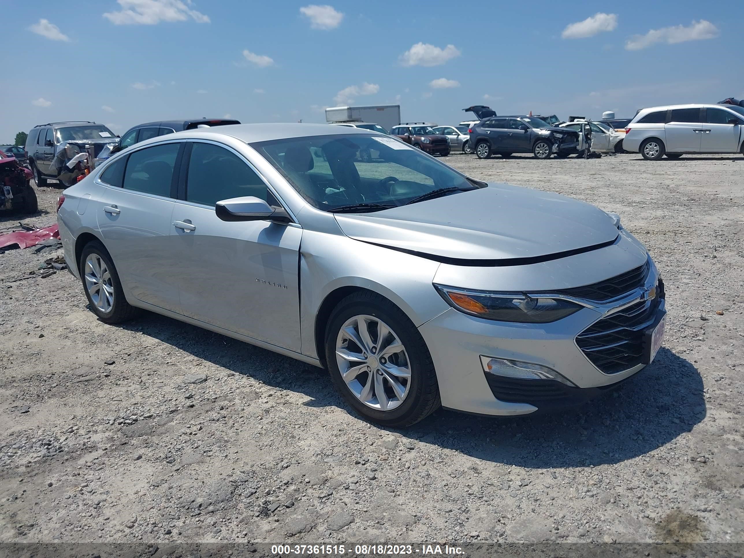 CHEVROLET MALIBU 2019 1g1zd5st6kf106655