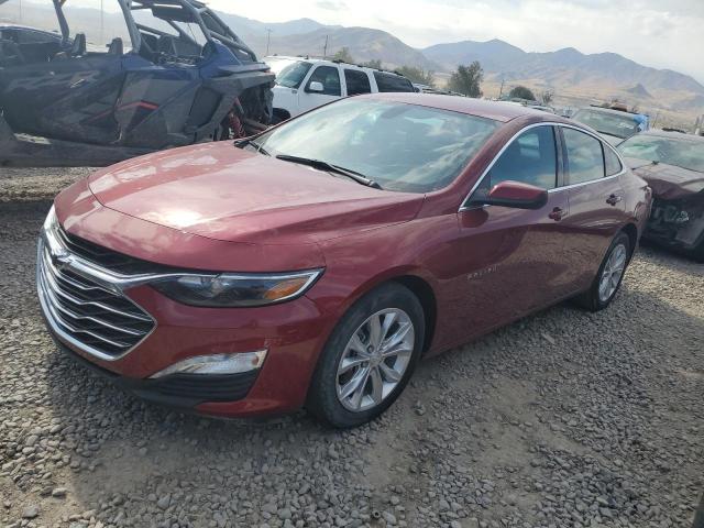 CHEVROLET MALIBU LT 2019 1g1zd5st6kf112231