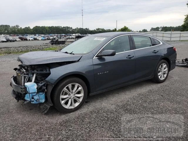 CHEVROLET MALIBU 2019 1g1zd5st6kf164152