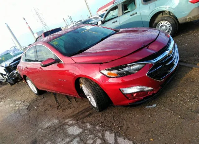 CHEVROLET MALIBU 2019 1g1zd5st6kf175801