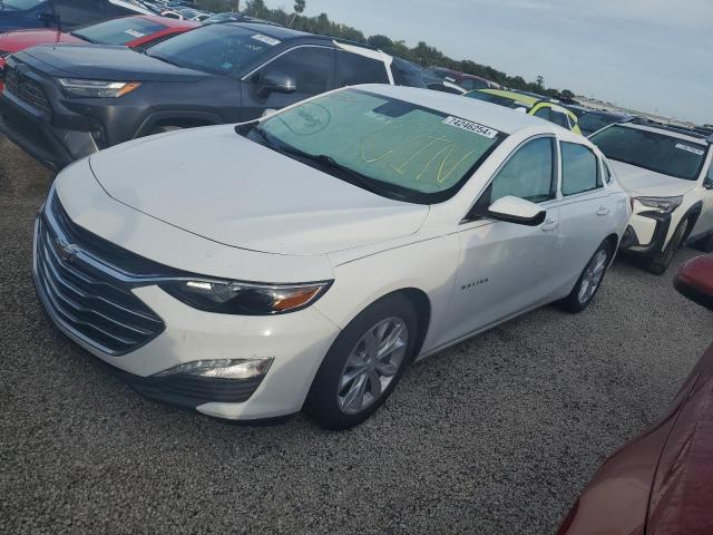 CHEVROLET MALIBU LT 2019 1g1zd5st6kf189925