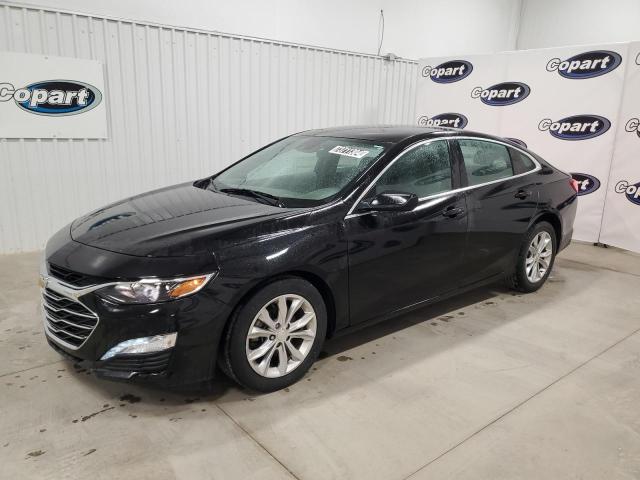 CHEVROLET MALIBU LT 2019 1g1zd5st6kf204052