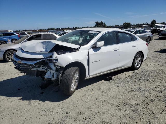 CHEVROLET MALIBU LT 2020 1g1zd5st6lf039735