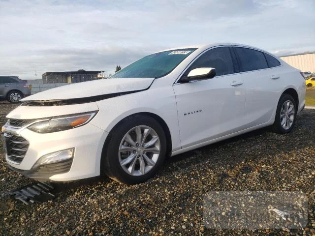 CHEVROLET MALIBU 2020 1g1zd5st6lf103269