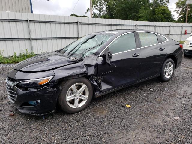 CHEVROLET MALIBU LT 2023 1g1zd5st6pf166748