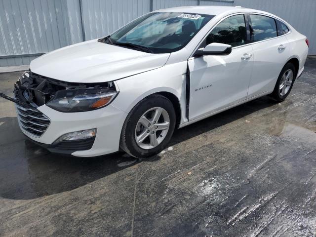 CHEVROLET MALIBU 2024 1g1zd5st6rf110229