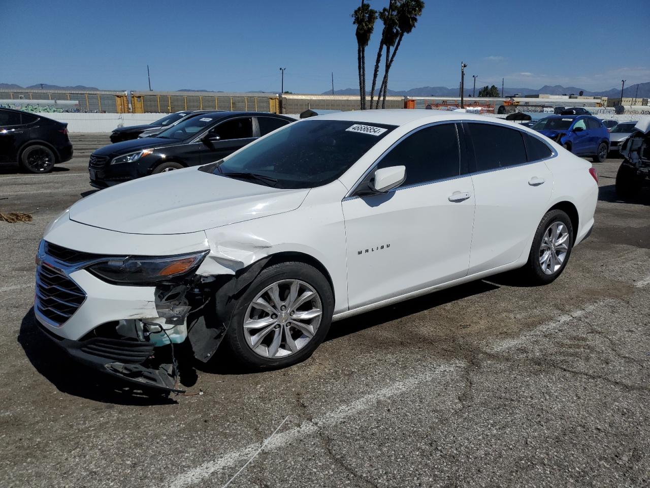 CHEVROLET MALIBU 2019 1g1zd5st7kf114053