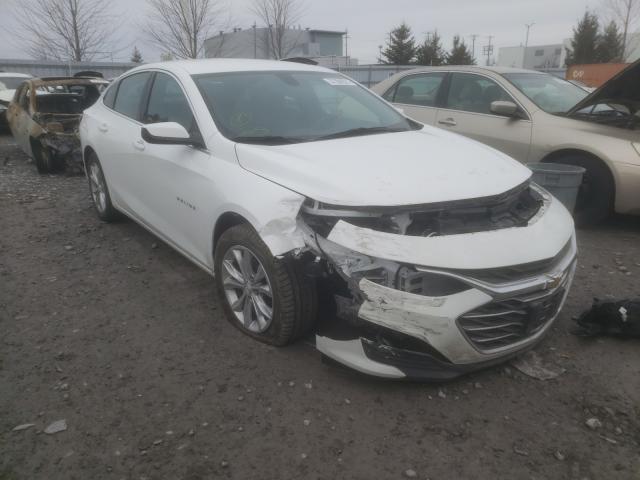 CHEVROLET MALIBU LT 2019 1g1zd5st7kf117258