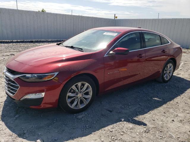 CHEVROLET MALIBU 2019 1g1zd5st7kf120337