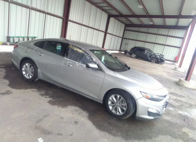 CHEVROLET MALIBU 2019 1g1zd5st7kf139213