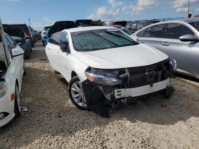 CHEVROLET MALIBU LT 2019 1g1zd5st7kf144900