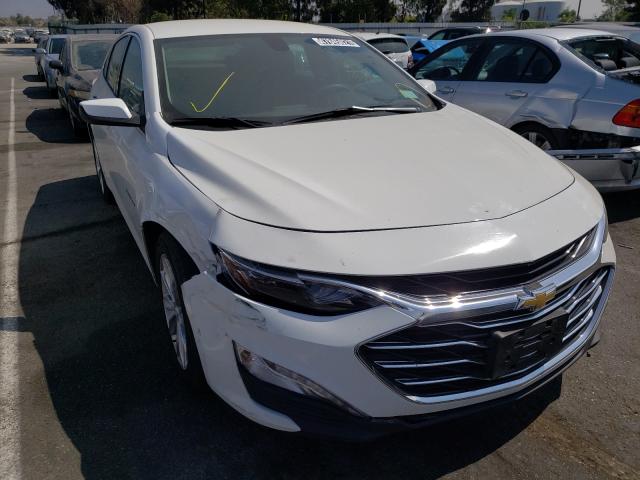 CHEVROLET MALIBU LT 2019 1g1zd5st7kf159395