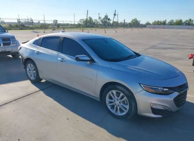 CHEVROLET MALIBU 2019 1g1zd5st7kf164094