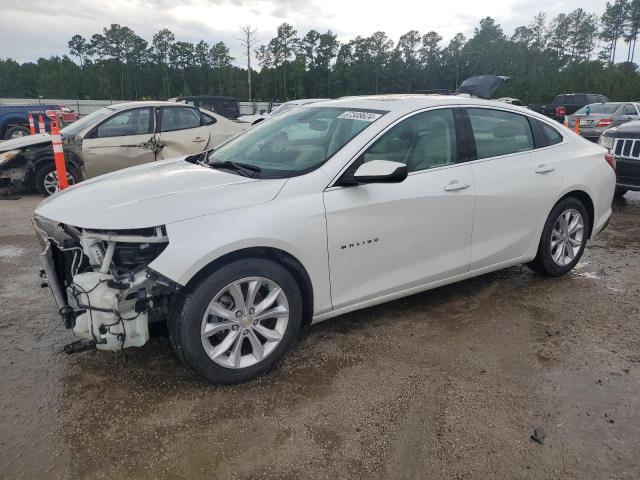 CHEVROLET MALIBU LT 2019 1g1zd5st7kf192896